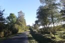 Muckenbach